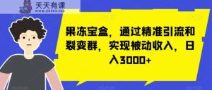 果冻宝盒，通过精准引流和裂变群，实现被动收入，日入3000+-天天有课网