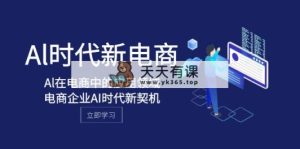 Al-时期社区电商，Al在互联网中的应用范围，电子商务企业AI时期新机遇-暖阳网-优质付费教程和创业项目大全-天天有课网