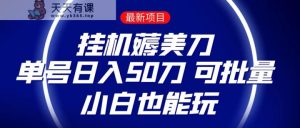 薅羊毛项目  零投入挂机薅美刀    单号日入50刀  可批量  小白也能玩-天天有课网