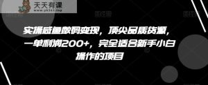 实操咸鱼数码变现,顶尖品质货源,一单利润200+,完全适合新手小白操作的项目【揭秘】-天天有课网