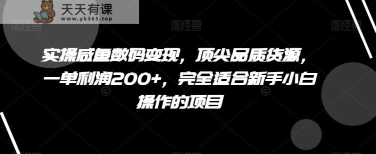 实操咸鱼数码变现，顶尖品质货源，一单利润200+，完全适合新手小白操作的项目【揭秘】-天天有课网