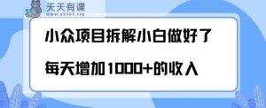 小众项目拆解,小白做好了每天可增加1000多的收入-天天有课网