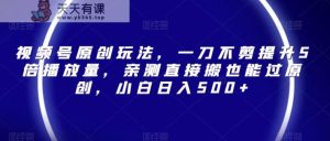 视频号原创玩法,一刀不剪提升5倍播放量,亲测直接搬也能过原创,小白日入500+【揭秘】-天天有课网