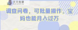 调查问卷,可批量操作,宝妈也能月入过万-天天有课网