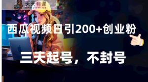 西瓜视频日引200+创业粉，三天起号，不封号-天天有课网