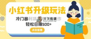 小红书的升级玩法，小众赚钱项目零门槛实际操作，轻轻松松日入500-暖阳网-优质付费教程和创业项目大全-天天有课网