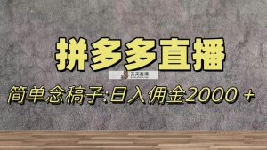 瀚海跑道拼多多直播，不用漏脸，日提成2000＋-暖阳网-优质付费教程和创业项目大全-天天有课网