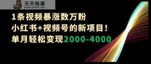 1条视频暴涨数万粉–小红书+视频号的新项目！单月轻松变现2000-4000【揭秘】-天天有课网