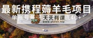 全新携程网撸羊毛新项目，单账户每日1钟头保底收益40 ，可引流矩阵实际操作-暖阳网-优质付费教程和创业项目大全-天天有课网
