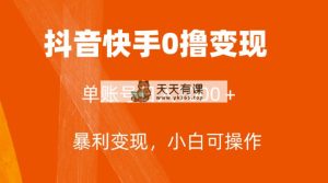 独家首发，单账户盈利日入1000＋，简单直接，最低5元一单，可大批量单实际操作-暖阳网-优质付费教程和创业项目大全-天天有课网