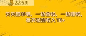 天天薅羊毛，一边省钱，一边赚钱，每天被动收入70+-天天有课网