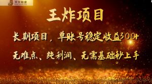 王炸项目！单账号稳定收益300+，适合长期操作的副业兼职。-暖阳网-优质付费教程和创业项目大全-天天有课网