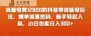 外面收费12800的抖音带货新奇玩法，爆单流量密码，新手轻松入局，小白也能日入300+【揭秘】-天天有课网