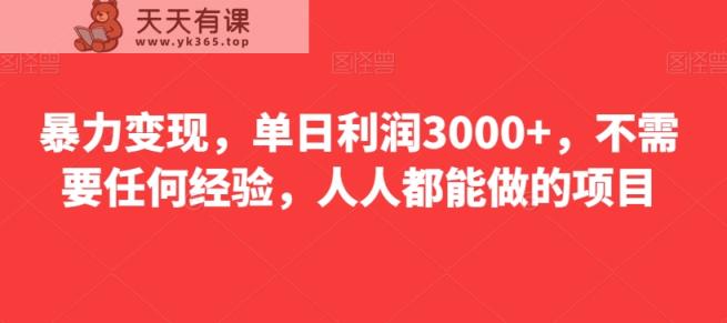 暴力变现，单日利润3000+，不需要任何经验，人人都能做的项目-天天有课网