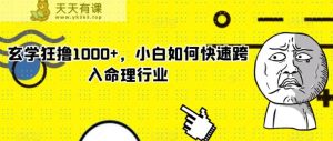 玄学狂撸1000+，小白如何快速跨入命理行业【揭秘】-天天有课网