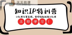 知识IP特训营 ：小红书流量变现，带你轻松玩转小红书-暖阳网-优质付费教程和创业项目大全-天天有课网