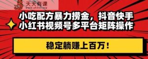小吃配方暴力捞金，抖音快手小红书视频号多平台矩阵操作，稳定躺赚上百万！-天天有课网