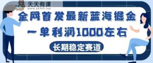 全网首发最新蓝海掘金,一单利润1000左右,稳定落地长久赛道-天天有课网