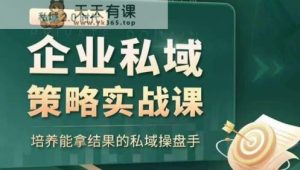 私域2.0时代:企业私域策略实战课,培养能拿结果的私域操盘手-天天有课网