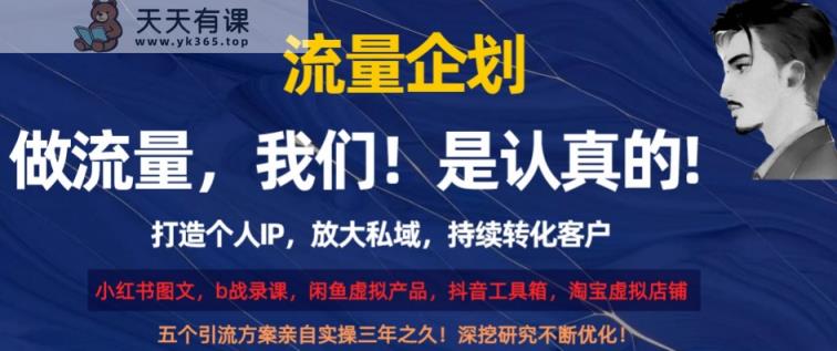 流量企划，打造个人IP，放大私域，持续转化客户【揭秘】-天天有课网