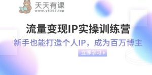 流量变现IP实操训练营:新手也能打造个人IP,成为百万 博主-暖阳网-优质付费教程和创业项目大全-天天有课网
