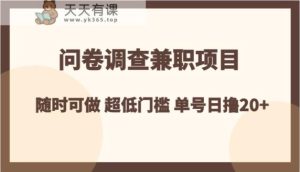 问卷调查兼职项目，随时可做 超低门槛 单号日撸20+-暖阳网-优质付费教程和创业项目大全-天天有课网