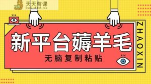 新渠道撸盈利，没脑子拷贝，1万阅读文章100块，可以多号引流矩阵实际操作-暖阳网-优质付费教程和创业项目大全-天天有课网