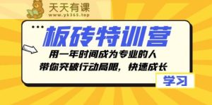 砖头夏令营,用一年时间变成专业人,陪你突破行动局限性,快速增长-暖阳网-优质付费教程和创业项目大全-天天有课网