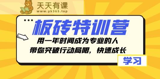 砖头夏令营，用一年时间变成专业人，陪你突破行动局限性，快速增长-暖阳网-优质付费教程和创业项目大全-天天有课网
