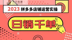 2023拼多多运营实际操作，每日30min日销1000＋，爆品选款攻略秘籍-暖阳网-优质付费教程和创业项目大全-天天有课网