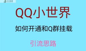 最近比较火的QQ小世界视频挂群实际操作来啦，新手即可操作，每日入群1000＋-暖阳网-优质付费教程和创业项目大全-天天有课网