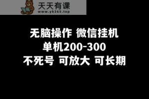 没脑子实际操作微信挂机单机版200-300一天，不死号，可变大-暖阳网-优质付费教程和创业项目大全-天天有课网