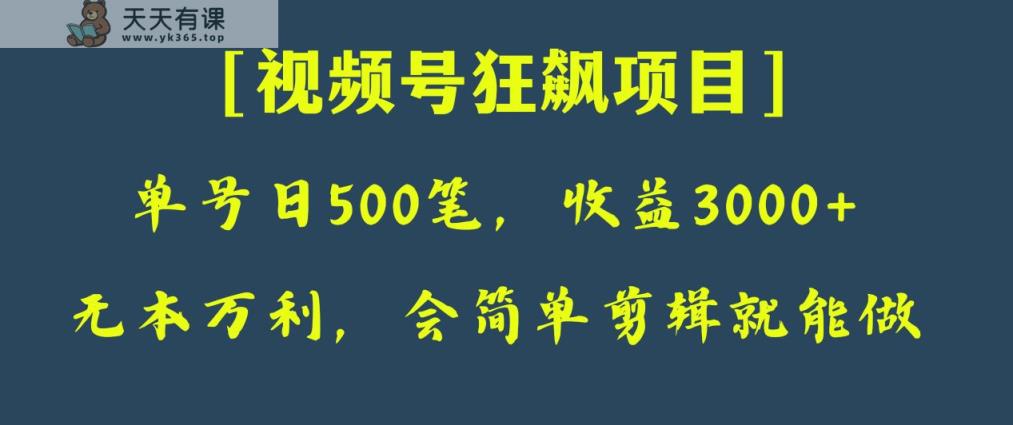 日收付款500笔，净利润3000 ，微信视频号狂飚新项目！-暖阳网-优质付费教程和创业项目大全-天天有课网