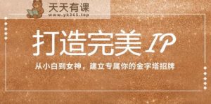 打造完美IP：从小白到女神，建立专属你的金字塔招牌-天天有课网
