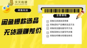 闲鱼平台无货源电商赚取差价升阶游戏玩法,爆品选款,网络资源探寻,引流变现整套实例教程-天天有课网