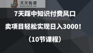7天踩中社交电商出风口，卖项目真正实现日入3000！-天天有课网