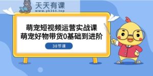 萌宝·自媒体运营实战演练课：萌宝好货卖货0基本到升阶-天天有课网