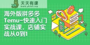 外版拼多多平台Temu-快速上手实战演练课，店面实战演练从0到1-天天有课网