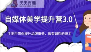 自媒体平台艺术美学提高营3.0,从零陪你提升品牌形象审美观,做一个有特性的博主-天天有课网