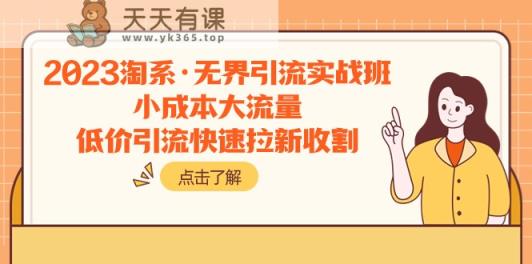 2023淘宝·无边引流方法实战演练班：低成本高流量，低价引流迅速引流收种-天天有课网