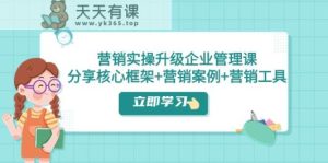 营销推广实际操作更新·公司管理课:共享关键架构 营销策划案例 推广工具-天天有课网