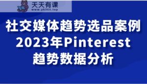 社交网络发展趋势选款实例，2023年Pinterest发展趋势数据统计分析课-天天有课网