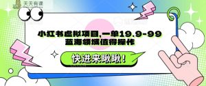 小红书的虚拟资源项目,一单19.9-99,蓝海领域非常值得实际操作-天天有课网