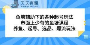 鱼塘 辅助下的各种起号玩法,市面上少有的鱼塘课程 养鱼 起号 选品 爆流-天天有课网