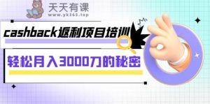 cashback购物返利专业技能培训：轻轻松松月入3000刀隐秘-天天有课网