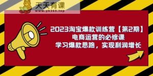 2023淘宝爆款夏令营【第2期】网店运营的必修课程，学习培训爆品构思 实现盈利提高-天天有课网