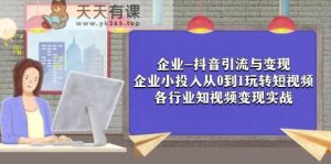 公司-抖音吸粉与转现：规模小资金投入从0到1轻松玩小视频 各个行业知视频变现实战演练-天天有课网
