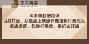 淘宝爆品陪跑课 从选款发布实际操作链接到付钱变大 店铺经营 打爆款 系统软件搞好店-天天有课网