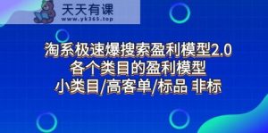 淘宝急速爆检索盈利模型2.0，每个产品类目盈利模型，小类目/高客单/标准品 非标准-天天有课网