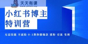 小红书博主爆款特训营-11期 无需技能 不露脸 0-1教你做爆款 涨粉 引流 变现-天天有课网